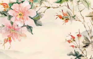 原创